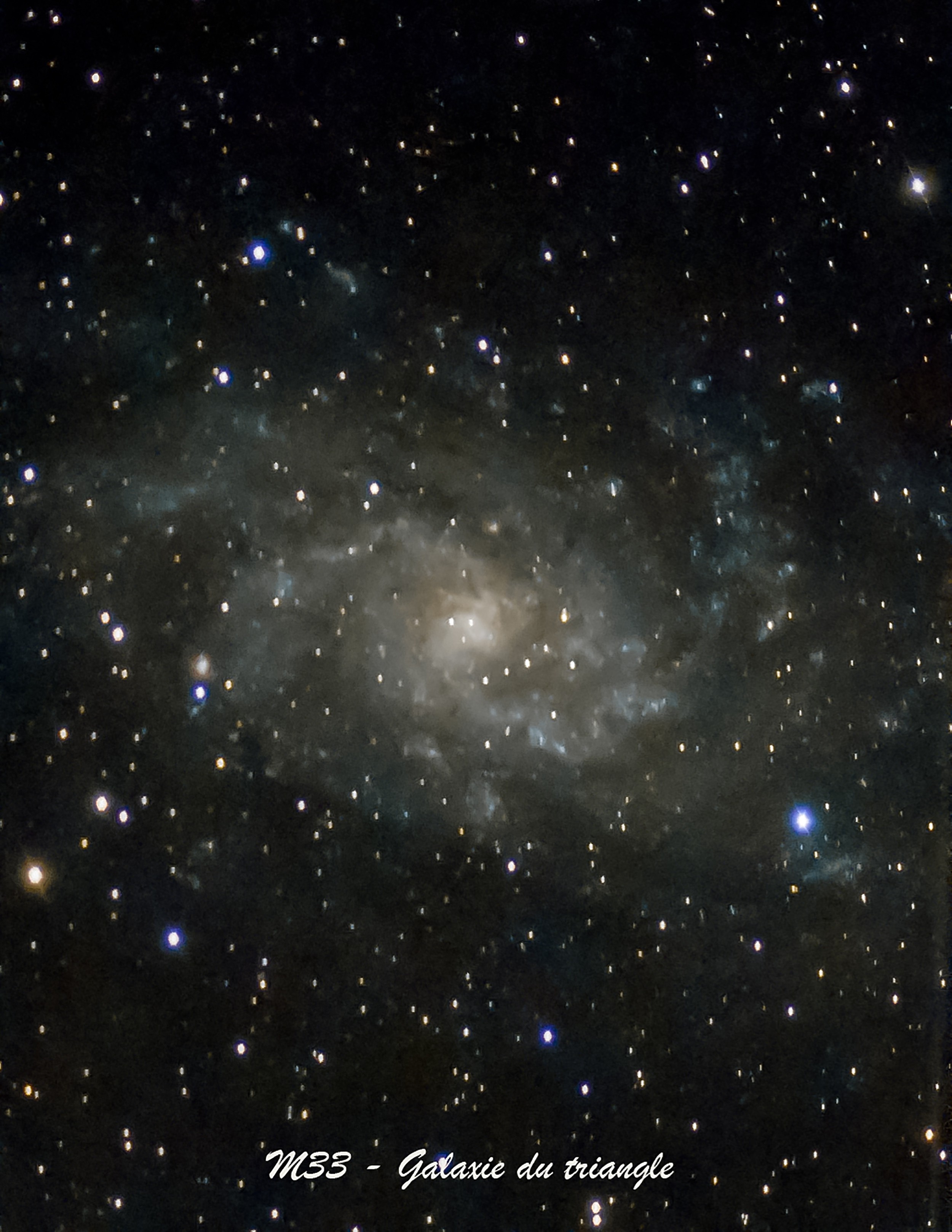 M33