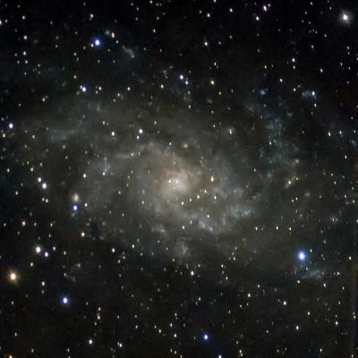 M33