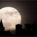 Par rapport à son aspect depuis l'hémisphère Nord, la Lune vue dans l'hémisphère Sud apparait :