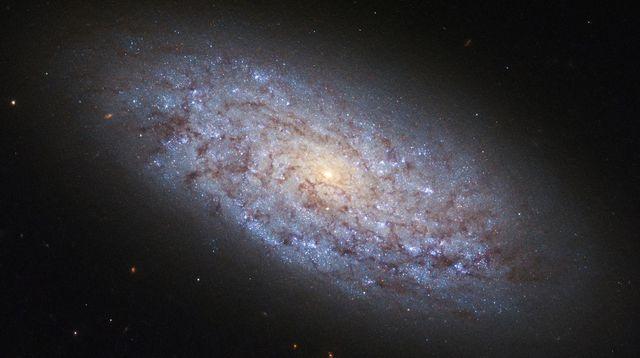 Nasa image of dwarf galaxy named ngc 5949 taken by the nasa esa hubble space telescope 6017176