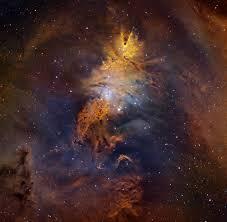 Ngc2264